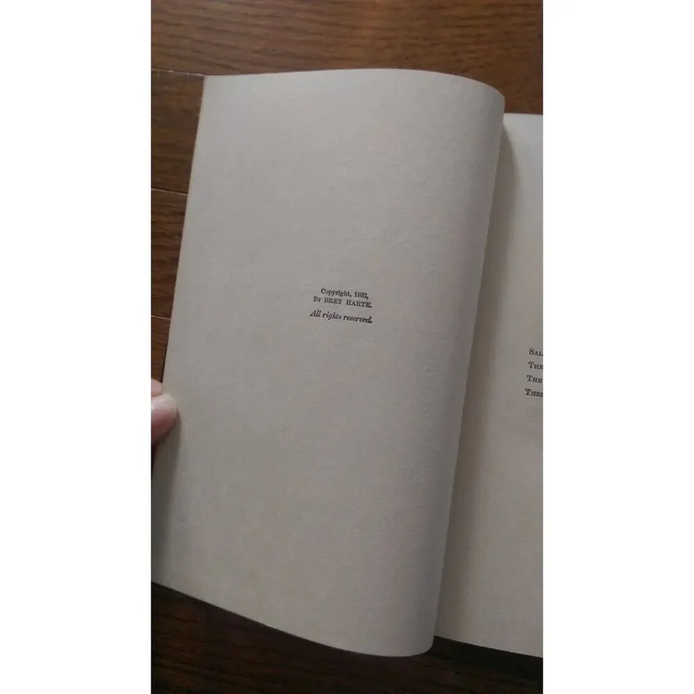 The Works of Bret Harte - Vol V Sally Dows - McKinlay Stone & Mackenzie 1893
